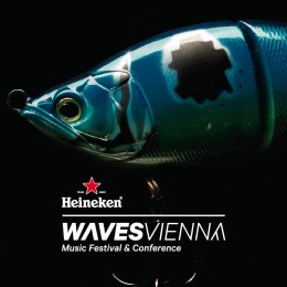 Go! Go! Gorillo hinterlassen Spuren beim Waves Festival in Wien