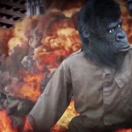 Das neue Video „King Kong Loves The Blonde One“ ist da!