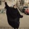 Does the devil wear Prada or a hijab?